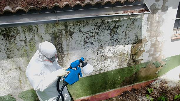 Trusted Commercial Mold Remediation service in Rutherford, TN - Cheap Mold Removal